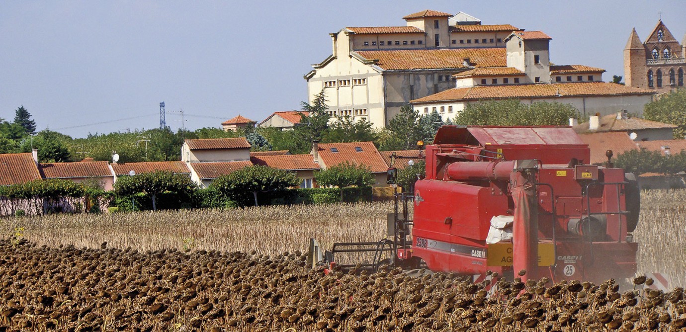 Après récolte, le tournesol requiert un contrôle régulier de la température afin de maîtriser la ventilation de refroidissement et prévenir tout échauffement. 