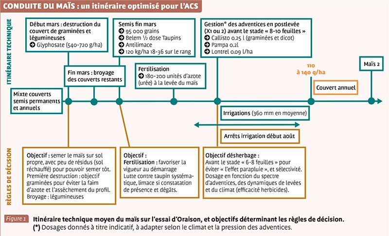 CONDUITE DU MAÏS : un itinéraire optimisé pour l’ACS