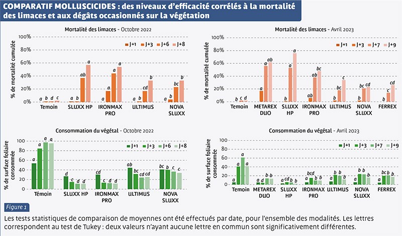 COMPARATIF MOLLUSCICIDES : des niveaux d’efficacité corrélés à la mortalité des limaces et aux dégâts occasionnés sur la végétation