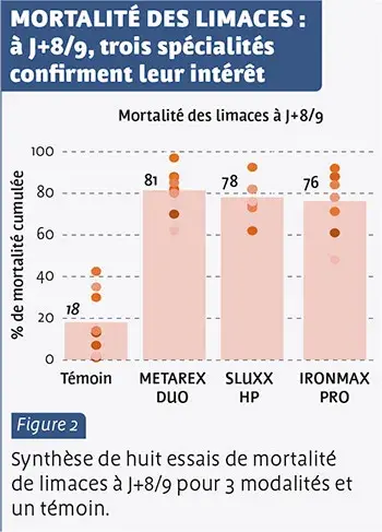 MORTALITÉ DES LIMACES&nbsp;: à J+8/9, trois spécialités confirment leur intérêt