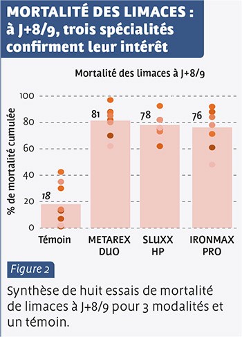 MORTALITÉ DES LIMACES : à J+8/9, trois spécialités confirment leur intérêt