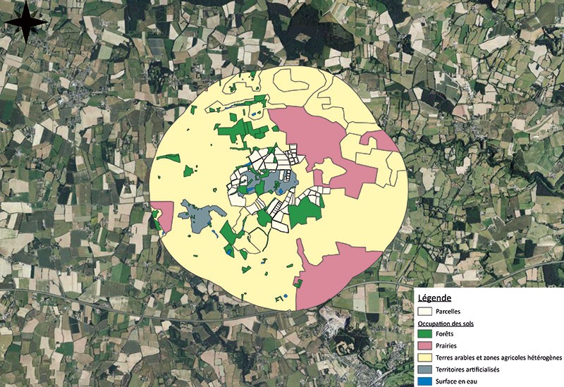 Le paysage est un facteur déterminant pour la diversité des insectes. Les différents types d’occupation du sol dans un périmètre de 2 km autour des parcelles ont été pris en compte dans l’analyse paysagère.