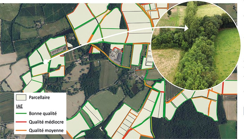 Les infrastructures agroécologiques de la station de la Jaillière ont été cartographiées et étudiées. La plupart des haies, ressortent comme étant multistratifiées et diversifiées et sont notées de bonne qualité dans l’étude.