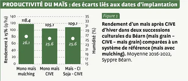 PRODUCTIVITé DU MAÏS&nbsp;: des écarts liés aux dates d’implantation