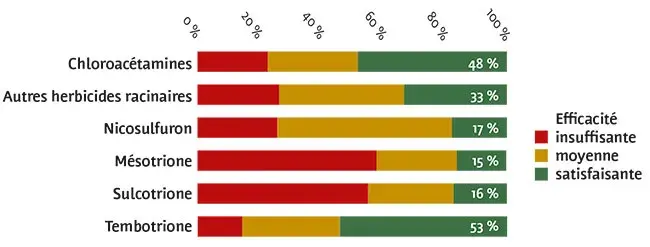LUTTE CONTRE LES GRAMINÉES&nbsp;: des niveaux d’efficacité pas toujours satisfaisants
