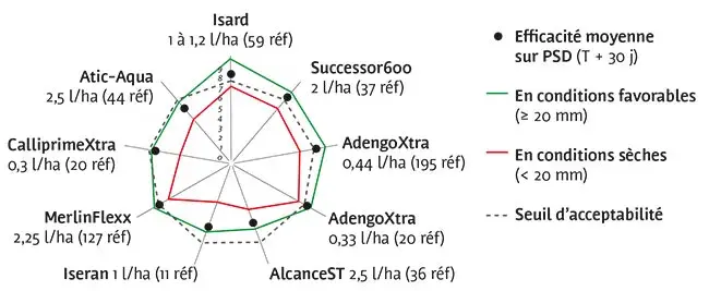 SUR PANIC, SETAIRES, DIGITAIRE : des efficacités proches de 8/10