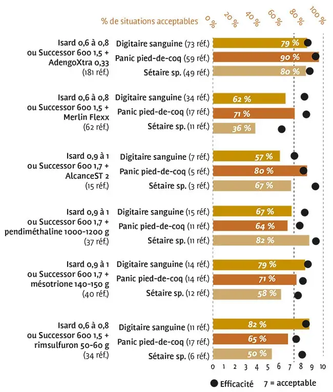 mélanges d’herbicides racinaires : des efficacités satisfaisantes pour quelques spécialités
