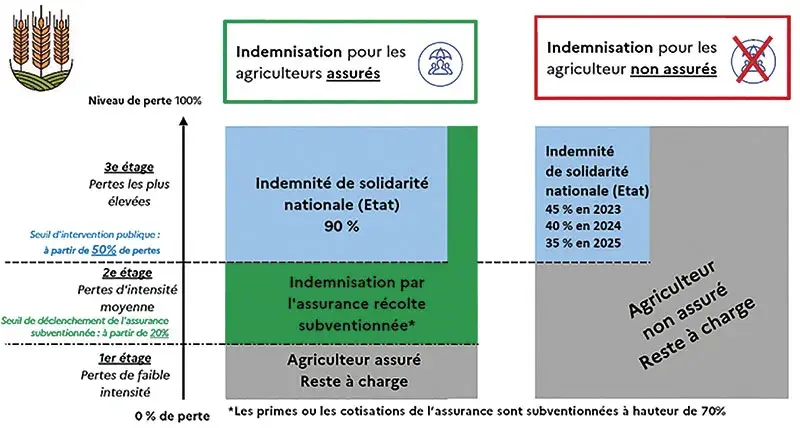 Assurance récolte multirisque climatique : schéma général du dispositif réformé pour les grandes cultures