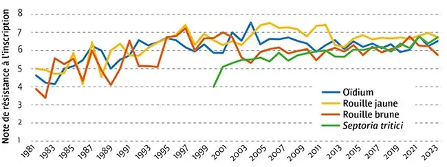 RÉSISTANCE DES VARIÉTÉS DE BLÉ TENDRE : des notes à l’inscription qui progressent pour toutes les maladies
