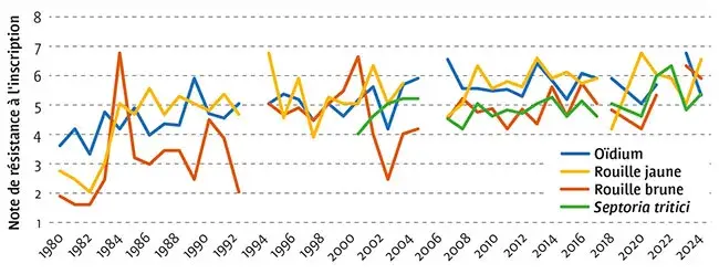 RÉSISTANCE DES VARIÉTÉS DE BLÉ DUR : des notes à l’inscription parfois en dent de scie mais un bon niveau général atteint