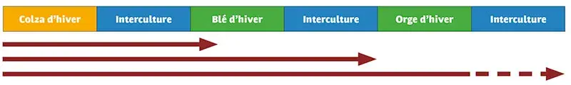 Exemples de longueur de cycle de couverts permanents dans un enchaînement de cultures colza-blé-orge d’hiver.