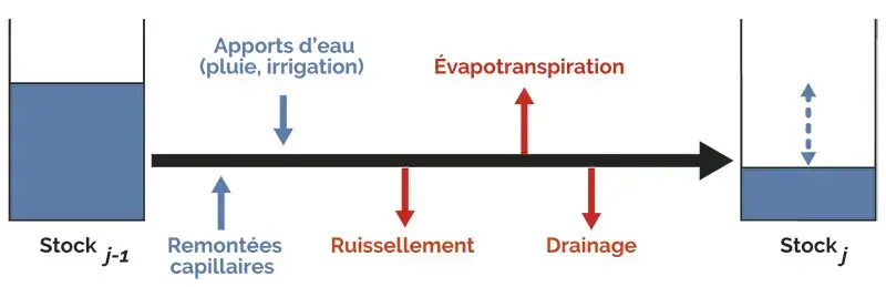 Facteurs pouvant influer sur le stock d’eau du sol entre le jour j-1 et le jour j. 