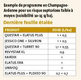 Exemple de programme en Champagne-Ardenne pour un risque septoriose faible à moyen (nuisibilité 10-15 q/ha).
