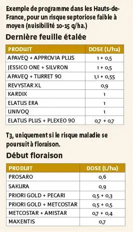Exemple de programme dans les Hauts-de-France, pour un risque septoriose faible à moyen (nuisibilité 10-15 q/ha.)