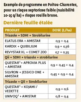 Exemple de programme en Poitou-Charentes, pour un risque septoriose faible (nuisibilité 10-15 q/ha) + risque rouille brune.