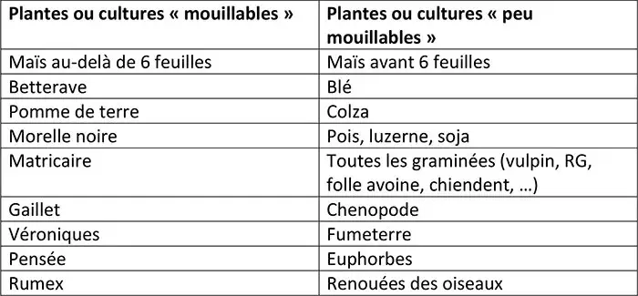 Produits « mouillable » : à réserver aux plantes « mouillables »