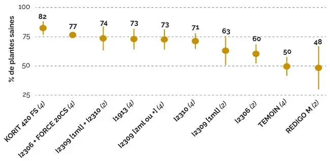 corvifuge en traitement de semences : dans quelles situations les plantes sont-elles mieux préservées ?