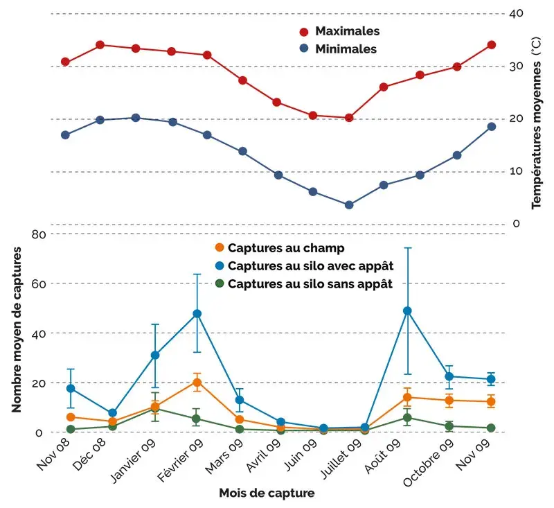 CAPTURES DANS ET AUX ABORDS DU SILO : aucun signe de migration des triboliums vers les parcelles