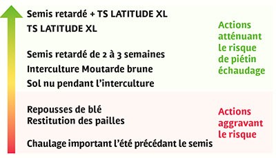 PRÉSENCE DU PIÉTIN-ÉCHAUDAGE : éviter de chauler avant une céréale