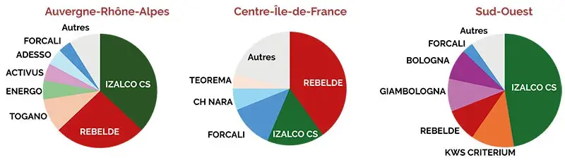 BAF LES PLUS CULTIVÉS en 2024 : Izalco CS en tête dans le Sud-Ouest, Rebelde en Centre-IdF