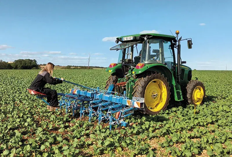 Le désherbage par binage donne des résultats très satisfaisants sur colza, en particulier en septembre, lorsque les fenêtres météo le permettent.