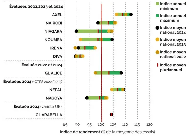 Productivité des féveroles : Axel et Nairobi sont en tête 