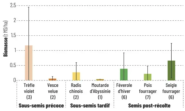 Biomasses moyennes (en t MS/ha) par espèce dominante du mélange de couvert en fonction de la technique d’implantation