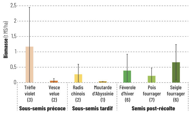 Biomasses moyennes (en t MS/ha) par espèce dominante du mélange de couvert en fonction de la technique d’implantation