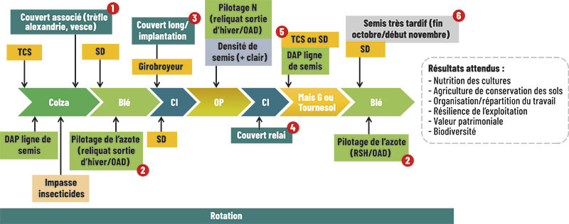Schéma décisionnel de Benoit Watrin