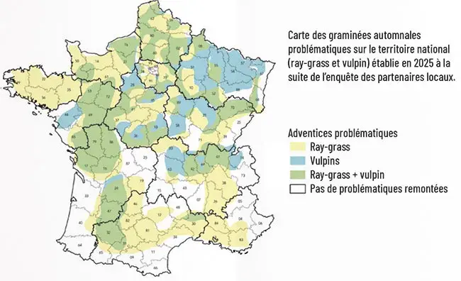 Carte des graminées automnales problématiques
