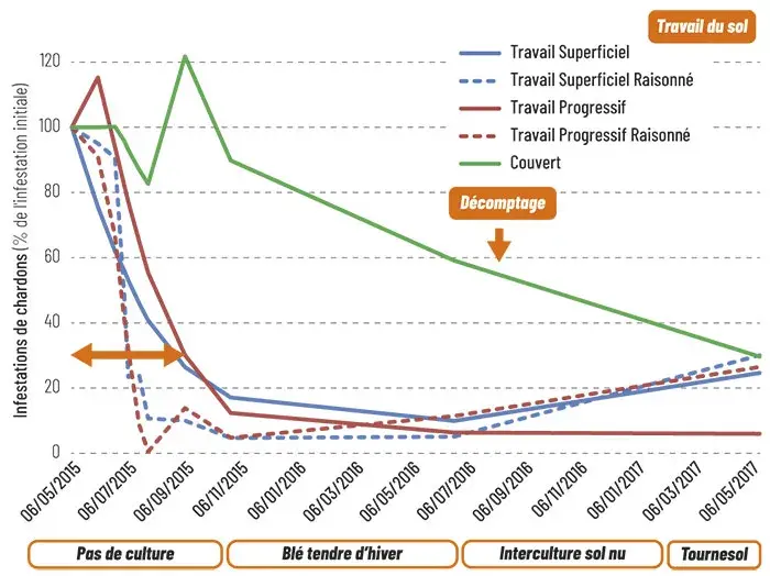 Évolution relative dans le temps de la population de chardon des champs 