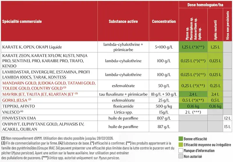 Efficacité des produits insecticides sur pucerons