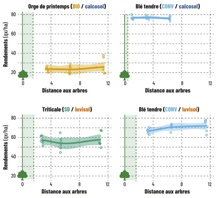Rendements en grains mesurés à plusieurs distances des lignes d'arbres sur 4 parcelles agroforestières 