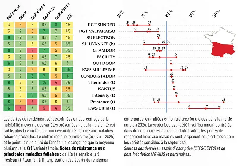 Pertes de rendement (nuisibilité) en l’absence de traitement fongicide observées en zone Sud