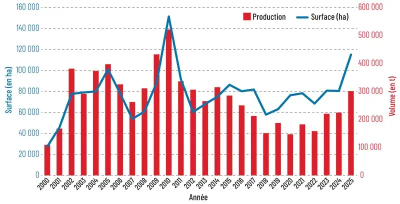 Évolution des surfaces et des volumes de féverole produits sur la période 2000 à 2025