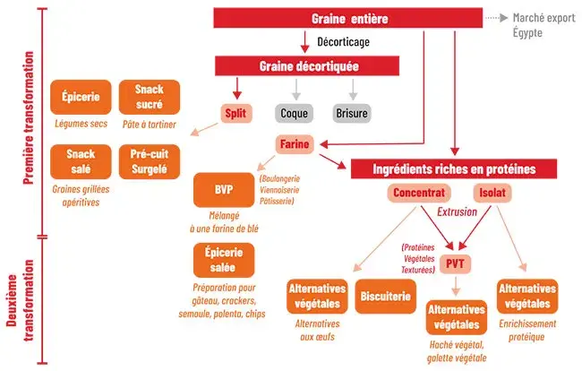 Les multiples usages de la féverole