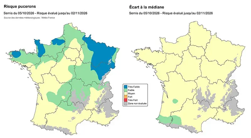 SEMIS DU 05/10    : Risques d’infestation par les pucerons vecteurs de JNO (à gauche) et écarts à la médiane (à droite)