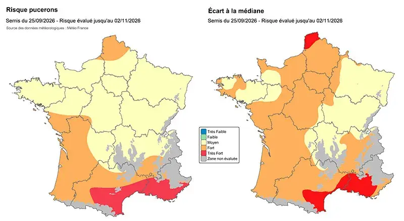SEMIS DU 25/09    : Risques d’infestation par les pucerons vecteurs de JNO (à gauche) et écarts à la médiane(à droite)