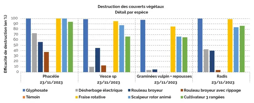 EFFICACITÉS SUR PHACÉLIE ET RADIS CHINOIS
