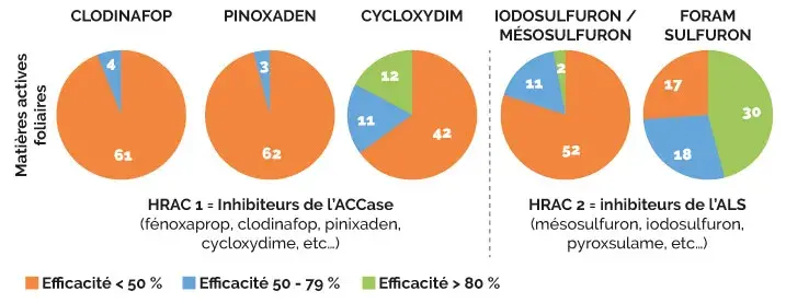 VULPINS : les plus fortes infestations dans les rotations courtes