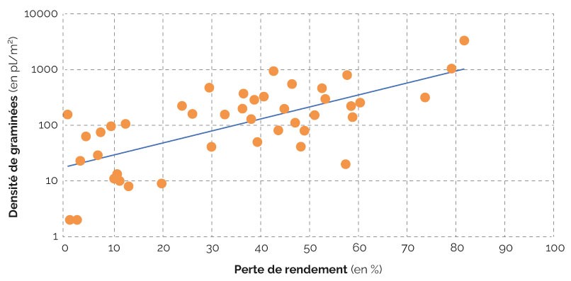 Population de graminées adventices : effet sur les rendements