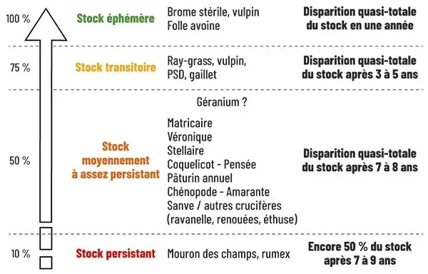 Durée de vie des graines dans le sol (stock semencier)