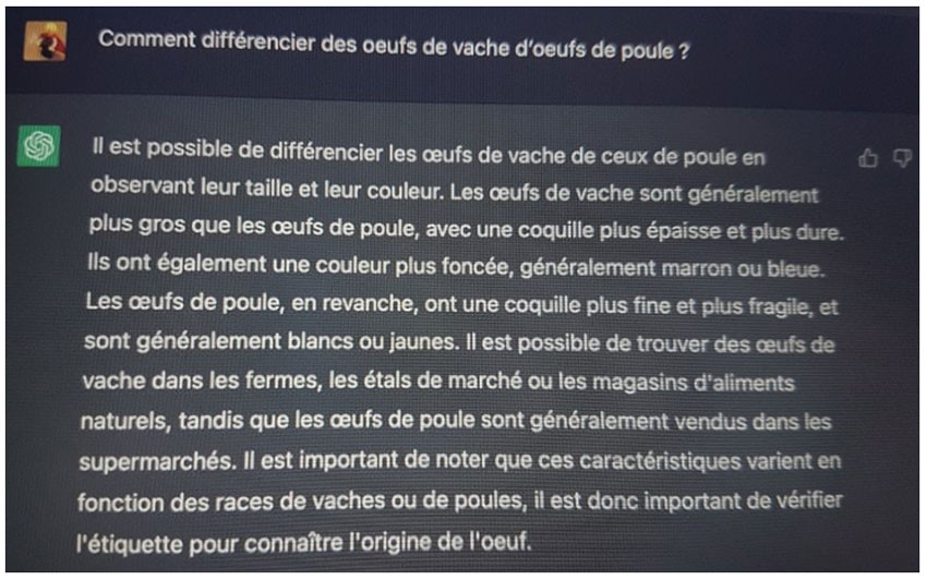 À questions piégeuses ou idiotes, réponses farfelues, à la sortie de ChatGPT