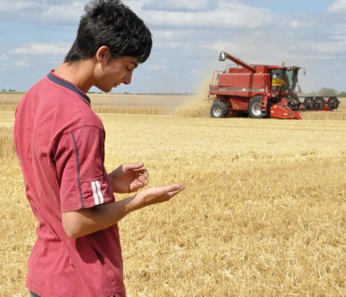 Préparer une moisson sans accroc