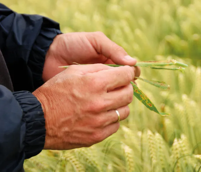 Maladies et changement climatique : anticiper pour mieux protéger