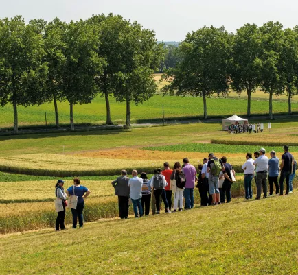 Projet Syppre : des exemples de transitions vers l'agroécologie