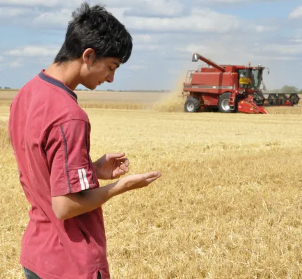 Préparer une moisson sans accroc