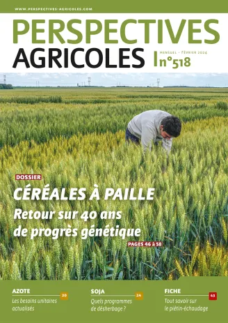 Céréales à paille : retour sur 40 ans de progrès génétique