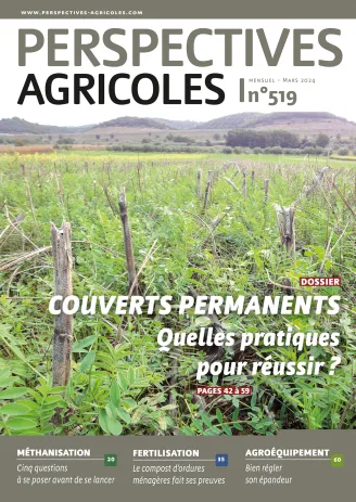 Couverts permanents : quelles pratiques pour réussir ? 