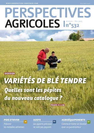 Variétés de blé tendre : une typologie « qualité » en pleine mutation